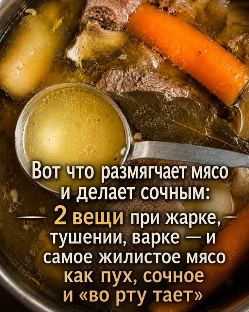 От подписчицы 👇
Вот что размягчает мясо и делает сочным: 2 вещи при жарке, тушении, варке — и самое жилистое мясо как пух, сочное и «во рту тает»…