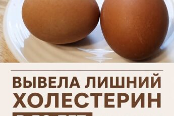 Вывела лишний холестерин в 50 лет: 9 простых продуктов на завтрак для здоровья сосудов