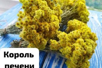 В 40 лет поставили мне диагноз — цирроз печени. Готовиться к смерти стала, да один древний дед меня спас и теперь ни одна болезнь меня не берёт, да и семейство своё я вылечила. Тётушку тоже от этого спасла. Вот какой рецепт дед тот древний мне дал: «Берёшь 3 столовые ложки…