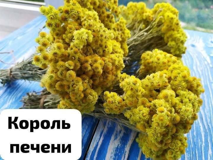 В 40 лет поставили мне диагноз — цирроз печени. Готовиться к смерти стала, да один древний дед меня спас и теперь ни одна болезнь меня не берёт, да и семейство своё я вылечила. Тётушку тоже от этого спасла. Вот какой рецепт дед тот древний мне дал: «Берёшь 3 столовые ложки…