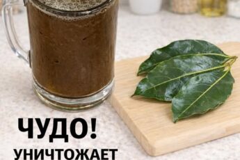 Четыре листа, которые помогают при диабете, раке, жировой дистрофии печени, плохом кровообращении и высоком кровяном давлении – без необходимости приема лекарств!