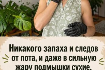 Никакого запаха и следов от пота, и даже в сильную жару подмышки сухие. Подруга с юга показала, как сделать лосьон от пота, который выручает