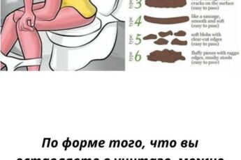 Узнайте, что форма и цвет стула могут рассказать о здоровье кишечника. Простое руководство по Бристольской шкале и советы для поддержания ЖКТ