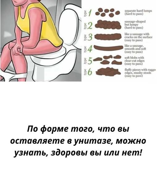 Узнайте, что форма и цвет стула могут рассказать о здоровье кишечника. Простое руководство по Бристольской шкале и советы для поддержания ЖКТ