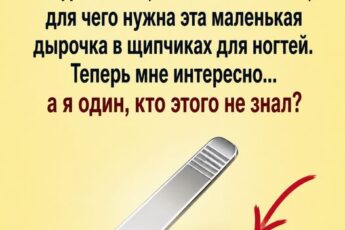 Вы тоже всю жизнь пользовались кусачками для ногтей неправильно? 😱 Я была просто в шоке, когда свекровь буквально закатывалась от смеха, поняв, что я даже не догадываюсь, для чего на самом деле нужна эта маленькая дырочка в корпусе!