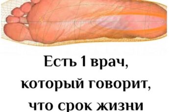 Есть 1 врач, который говорит, что срок жизни зависит от размера ноги!