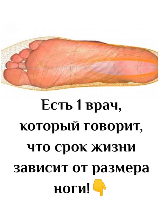Есть 1 врач, который говорит, что срок жизни зависит от размера ноги!