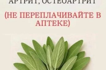 Борется с деменцией, воспалением, болью, артритом и остеоартритом