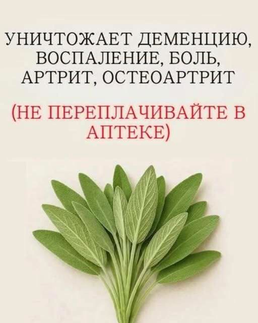 Борется с деменцией, воспалением, болью, артритом и остеоартритом