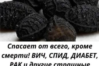 Это Божье растение «лечит все болезни» ВИЧ, СПИД, инсульт, диaбeт, pak, apтpит и т.д.