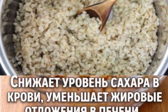 ОДНО ИЗ САМЫХ ДРЕВШИХ В МИРЕ! 😍 ❤️ Настоящий союзник здоровья, которого мы должны есть чаще!