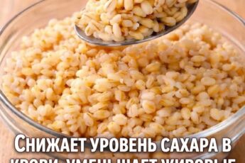 ОДНО ИЗ САМЫХ ДРЕВШИХ В МИРЕ! 😍 Богатый белком, клетчаткой и минералами, он помогает держать уровень холестерина и сахара в крови под контролем ❤️ Настоящий союзник здоровья, которого мы должны есть чаще!