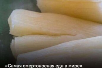 Ого! Я тоже это ем «Самая смертоносная еда» в мире убивает 200 человек каждый год