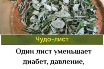 ПОЖИЛЫЕ ЛЮДИ !!: Этот 1 Лист снижает диабет, давление, устраняет боли в теле, холестерин и устраняет плохое кровообращение.
