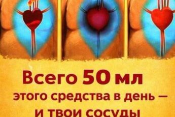 Всего 50 мл этого средства в день и твои сосуды очистятся. Можно не бояться инсульта!