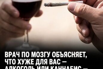 Врач объяснил, что может быть вреднее — алкоголь или каннабис, а новый тревожный побочный эффект заставляет взглянуть на этот вопрос иначе