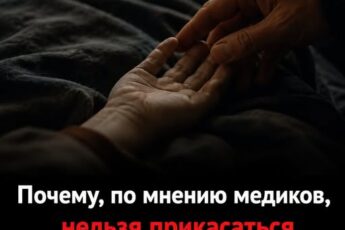 Почему, по словам медицинских экспертов, нельзя прикасаться к телу умершего голыми руками. Подробнее — в первом комментарии