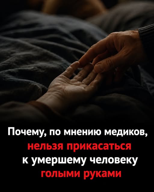 Почему, по словам медицинских экспертов, нельзя прикасаться к телу умершего голыми руками. Подробнее — в первом комментарии