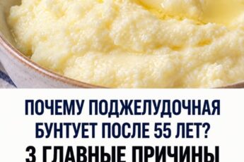 Почему после 55 лет поджелудочная железа становится чувствительной к рациону: 3 главные причины и 7 продуктов для профилактики панкреатита.