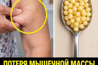 💪 Как сохранить силу после 50? Продукты, которые «строят» мышцы в пожилом возрасте 💪 Ешьте это перед сном, чтобы мышцы не исчезали с возрастом!