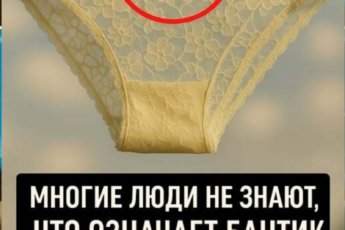 Почему на женских трусиках есть бантик Я всегда думал, что это чисто для красоты, но на самом деле всё совсем иначе.
