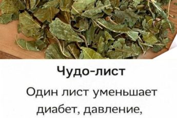 ПОЖИЛЫЕ ЛЮДИ !!: Этот 1 Лист снижает диабет, давление, устраняет боли в теле, холестерин и устраняет плохое кровообращение.