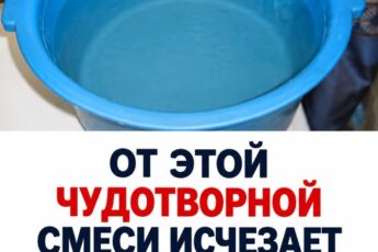 От этой чудотворной смеси исчезает грибок на ногтях раз и навсегда Рецепт в первом комментарии